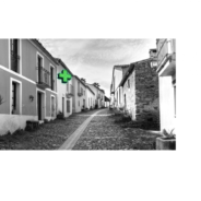 El farmacéutico rural pide ayudas para vivir de su profesión